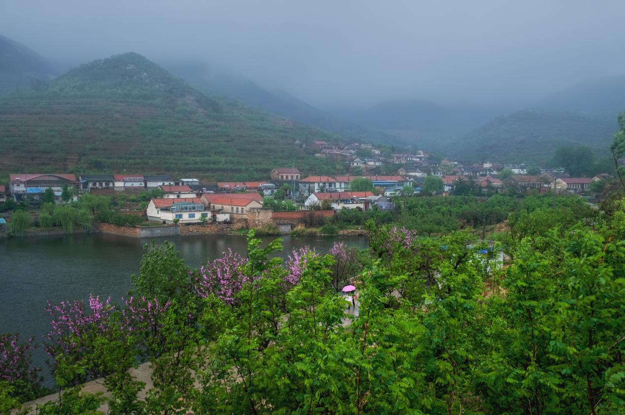 庵夼1