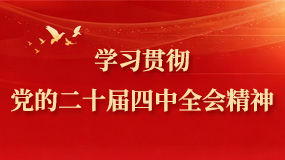 学习贯彻党的二十届四中全会精神